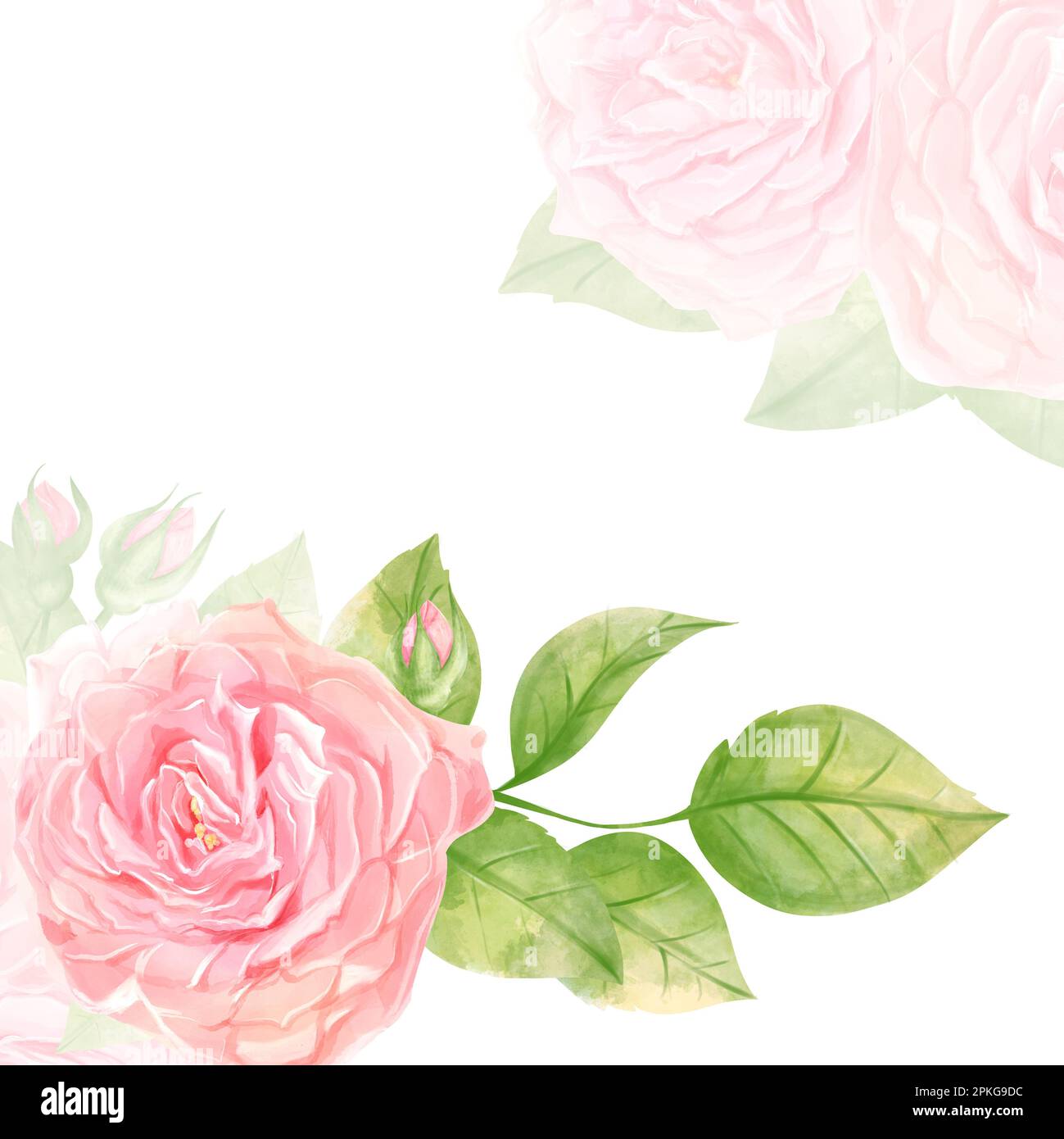 Modello di invito di nozze con acquerello dipinto a mano fiori colore rosa. Sfondo floreale decorativo perfetto per la creazione di carte, invito di nozze Foto Stock