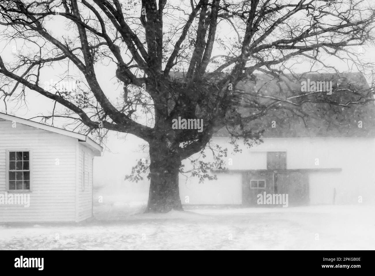 Amish fienile e casa in un giorno di neve soffiata nel Michigan centrale, USA [Nessuna proprietà di rilascio; solo licenza editoriale] Foto Stock