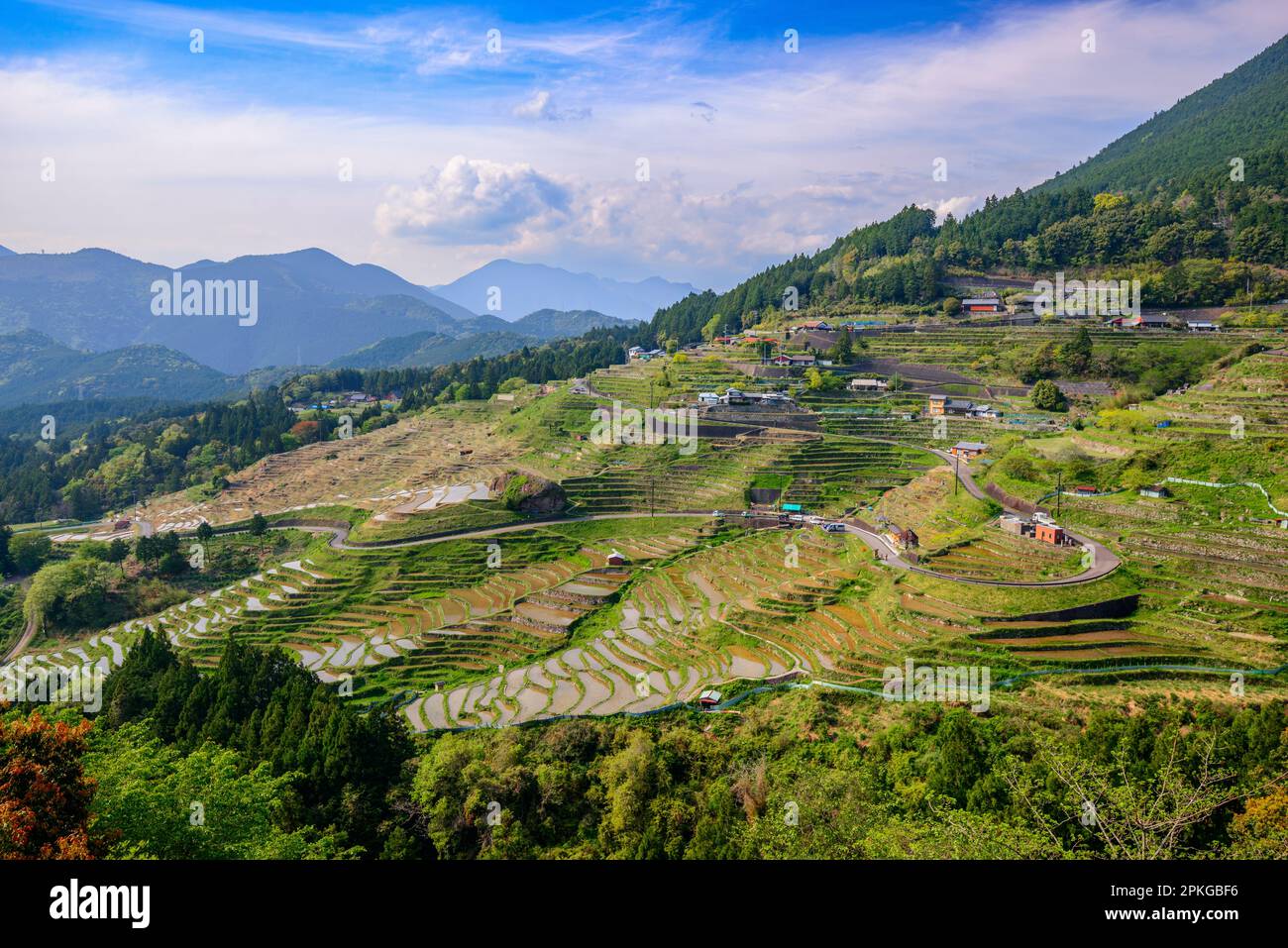 Giapponese terrazze di riso a Maruyama-senmaida, Kumano, Giappone. Foto Stock