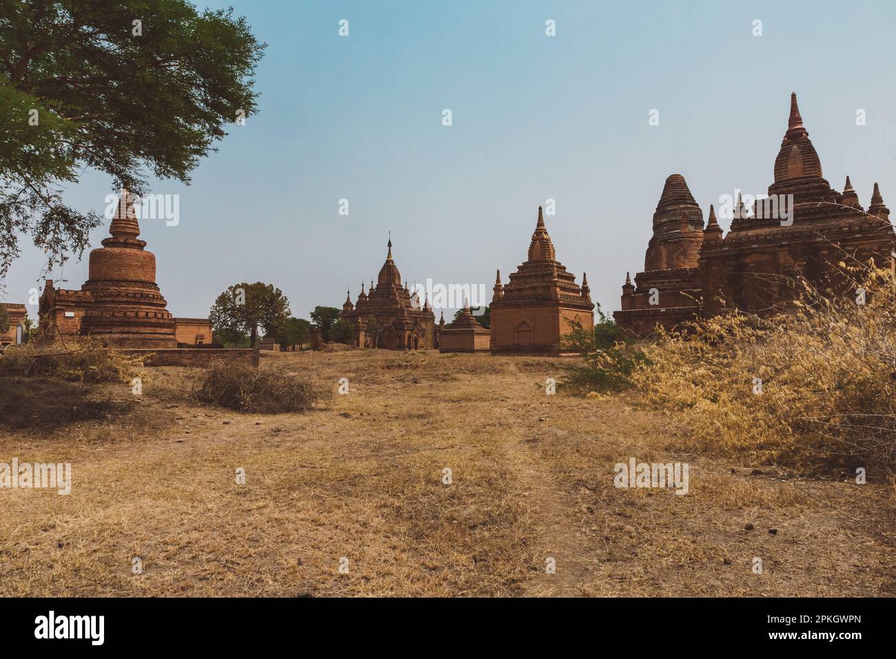 templi di bagan, myanmar. Foto Stock