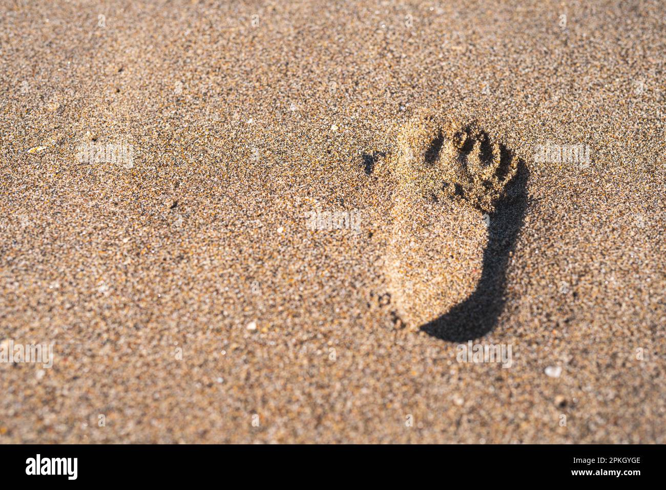 l'impronta di un bambino piccolo nella sabbia Foto Stock