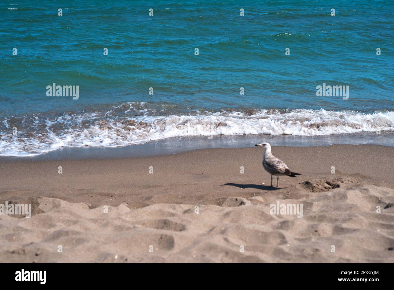 spiaggia di sabbia e vista mare in un giorno d'estate Foto Stock