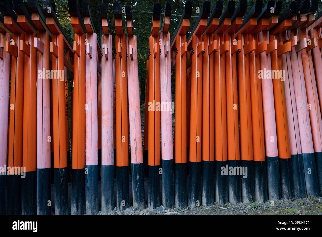 Kyoto, Giappone. 6th Mar, 2023. Sentieri torii in Mt. Inari.Fushimi Inari-taisha è un santuario shintoista nel sud di Kyoto, Giappone. E' una delle attrazioni turistiche piu' popolari di Kyoto ed e' famosa per le sue migliaia di porte vermilion torii, che si snodano su una rete di sentieri dietro i suoi edifici principali. Il santuario è dedicato a Inari, il dio del riso, e si dice che sia stato fondato nel 711 d.C. Le porte torii furono originariamente donate da mercanti e produttori che pregavano per la benedizione di Inari sulle loro attività. Oggi, il santuario è una destinazione popolare sia per i turisti e locali che Foto Stock