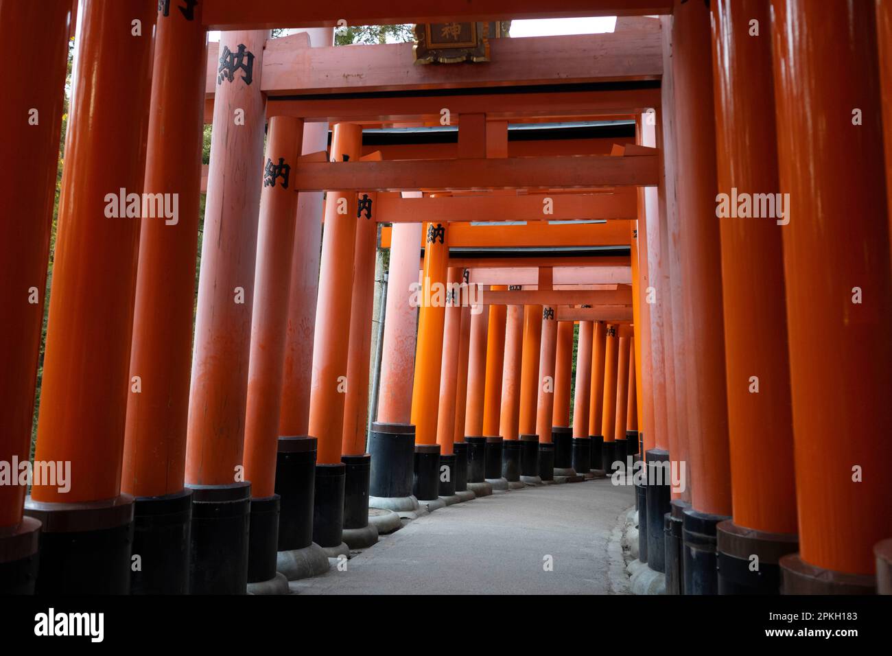 Kyoto, Giappone. 6th Mar, 2023. Sentieri torii in Mt. Inari.Fushimi Inari-taisha è un santuario shintoista nel sud di Kyoto, Giappone. E' una delle attrazioni turistiche piu' popolari di Kyoto ed e' famosa per le sue migliaia di porte vermilion torii, che si snodano su una rete di sentieri dietro i suoi edifici principali. Il santuario è dedicato a Inari, il dio del riso, e si dice che sia stato fondato nel 711 d.C. Le porte torii furono originariamente donate da mercanti e produttori che pregavano per la benedizione di Inari sulle loro attività. Oggi, il santuario è una destinazione popolare sia per i turisti e locali che Foto Stock