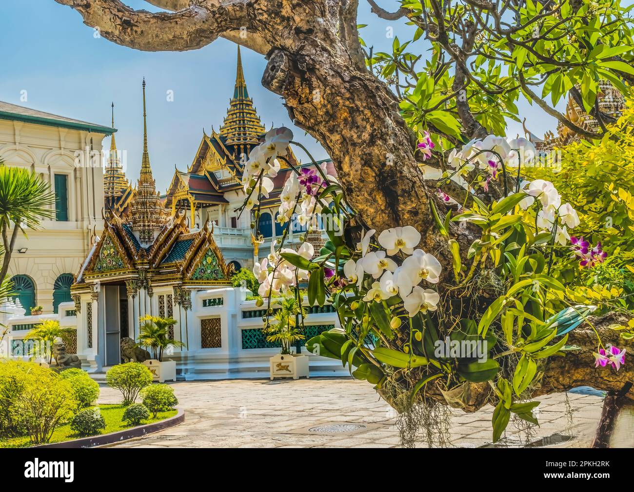 Colorate Orchidee Pagodas Stupas Prangs Grand Palace Bangkok Thailandia. Palazzo fu la casa del re della Thailandia dal 1782 al 1925 Foto Stock