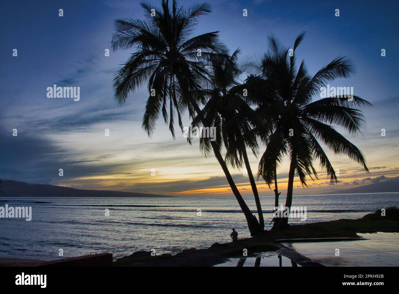 Alberi di palma e l'oceano si presentano con una persona irriconoscibile al tramonto a Maui. Foto Stock