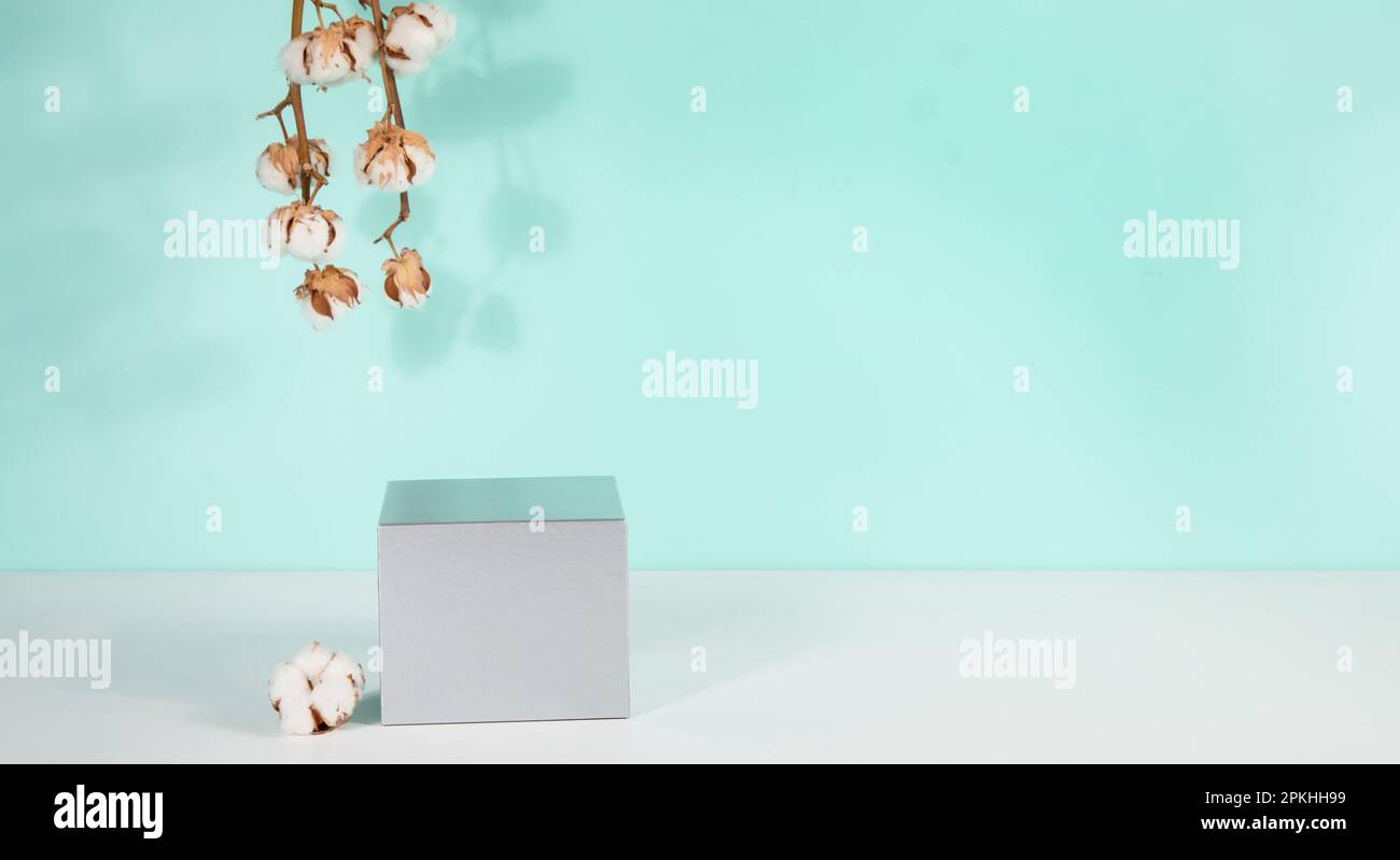 Scena astratta e minimale per prodotti mockup, vetrina, esposizione promozionale. Foto Stock