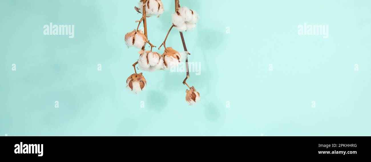 Scena astratta e minimale per prodotti mockup, vetrina, esposizione promozionale. Foto Stock