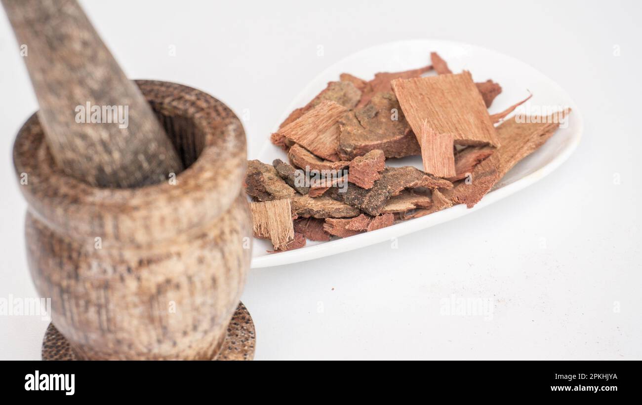 Fistola di Cassia, corteccia dell'albero della doccia dorata, Foto Stock