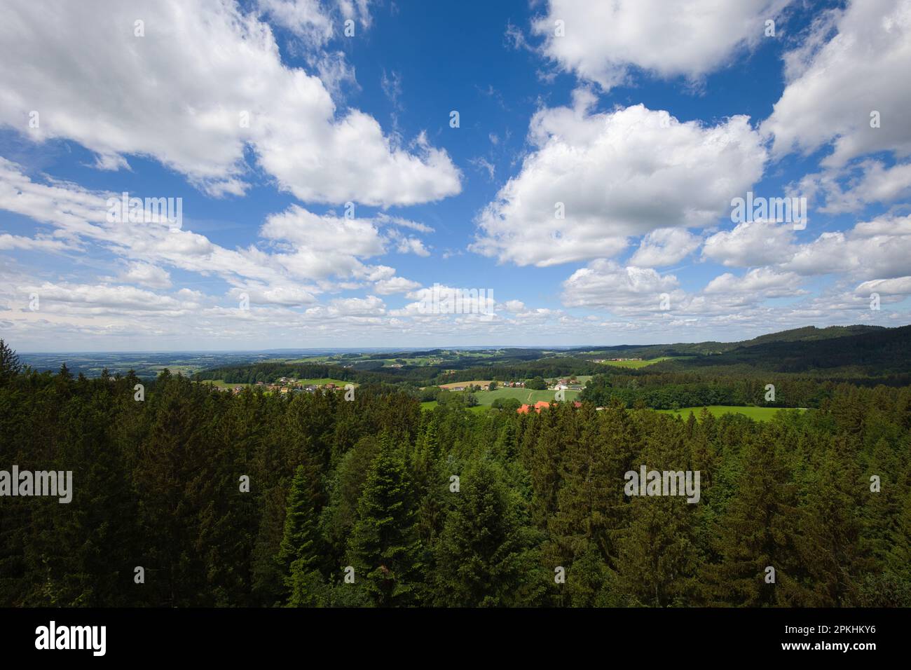 Paesaggio presso la torre avventura della passeggiata sugli alberi a Kopfing, alta Austria. Foto Stock