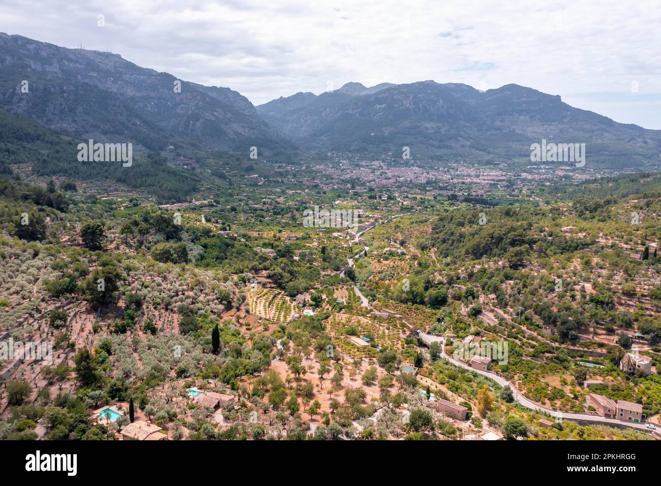 Paesaggio montano mediterraneo con piantagioni di ulivi, vista aerea, nel retro posto Soller, Serra de Tramuntana, Maiorca, Isole Baleari, Spagna Foto Stock