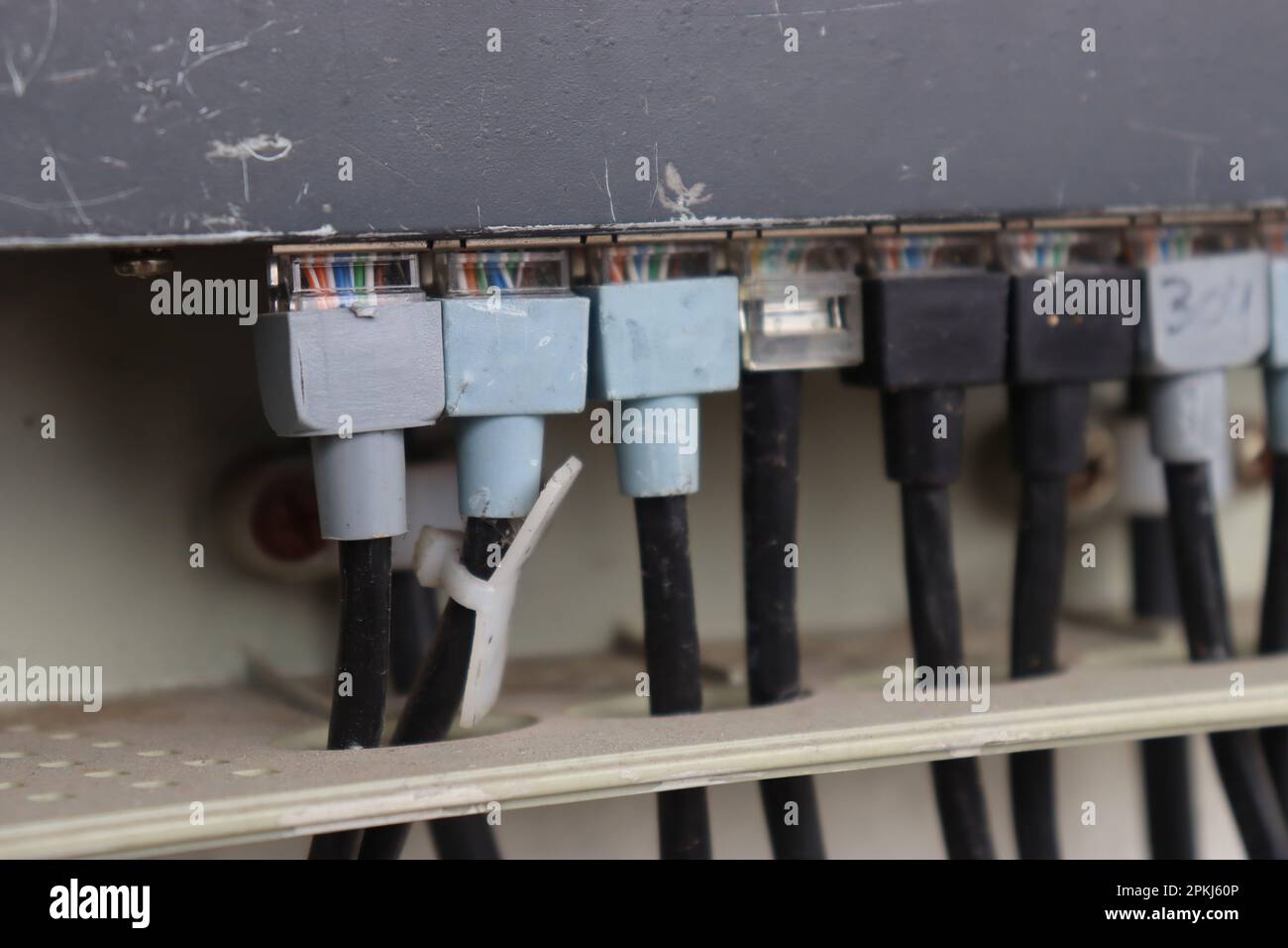 Primo piano del cavo Ethernet collegato al router per una connessione Internet veloce e affidabile. Connettività pannello di rete, switch e cavo nel data center Foto Stock