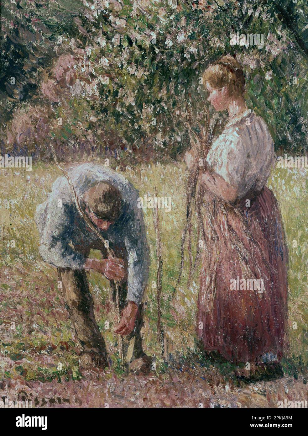 PISSARRO , CAMILLE. PINTOR FRANCES . 1830 - 1903. PALOS DE GUISANTE , OLEO. Autore: CAMILLE PISARRO. Foto Stock