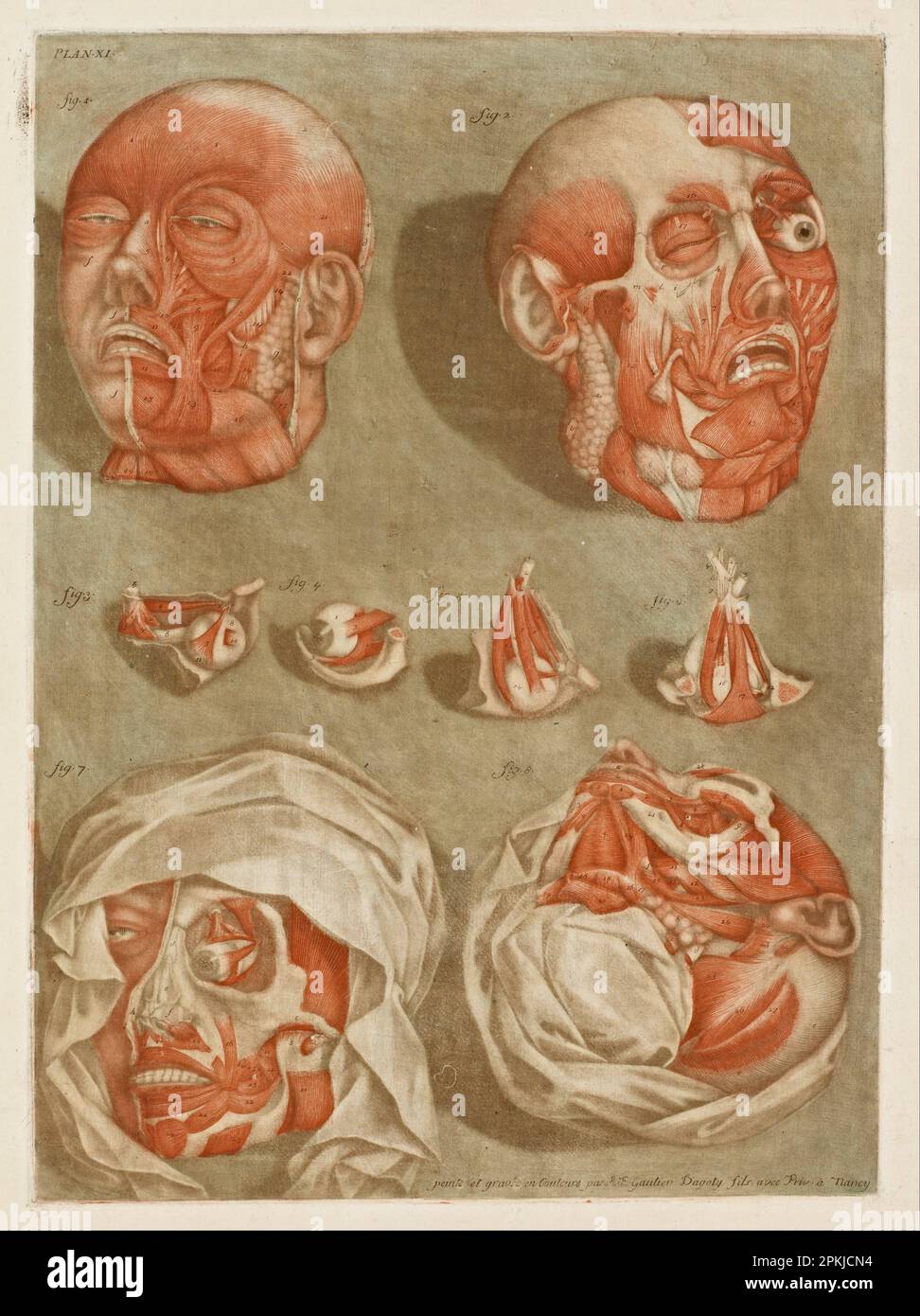 Quattro teste dissecate con dettagli degli occhi 1700/1799 di Arnaud-Eloi Gautier-Dagoty Foto Stock
