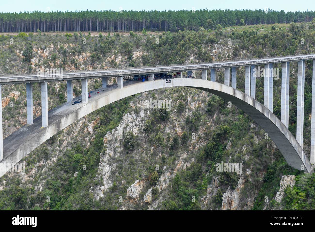 Bungee jumping al ponte di Bloukrans in Sudafrica Foto Stock