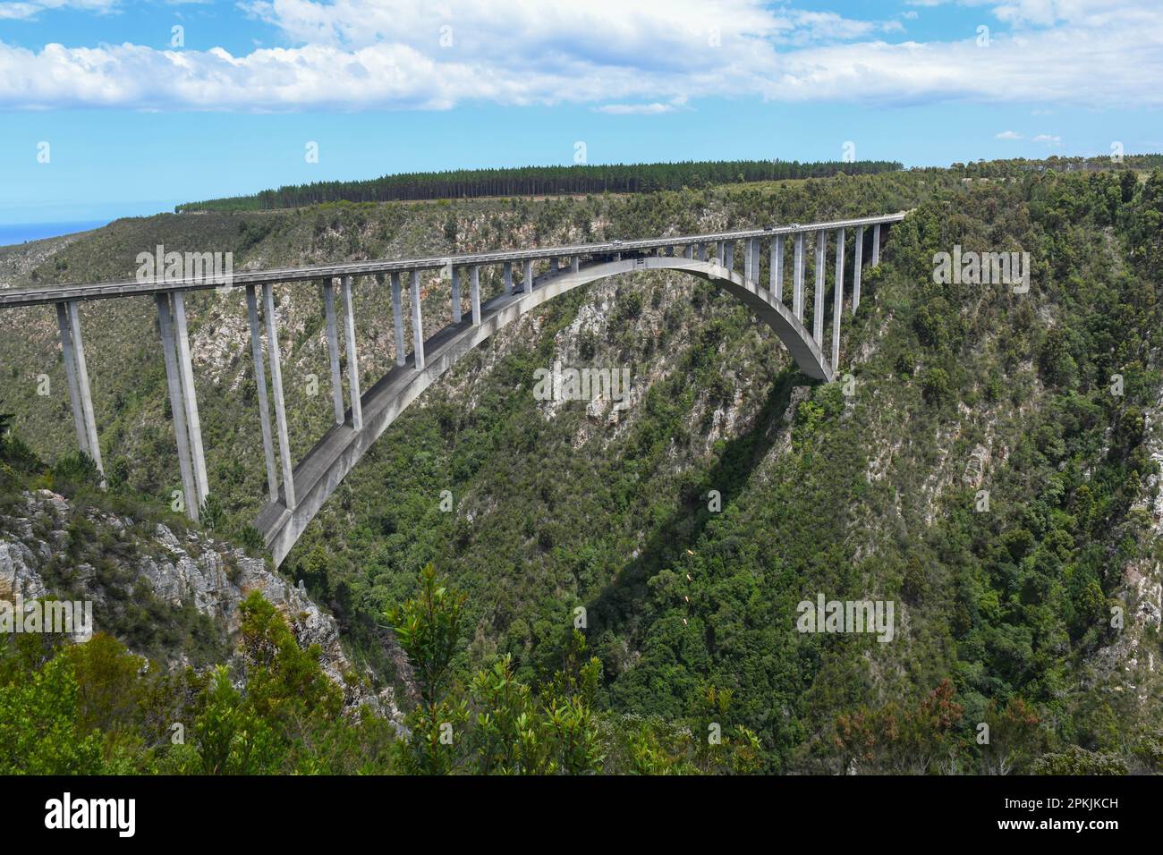 Bungee jumping al ponte di Bloukrans in Sudafrica Foto Stock