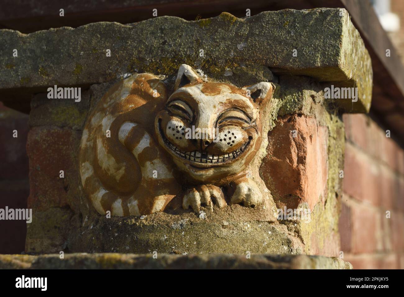 Grading Cheshire scultura di gatto situato nelle mura della città che si affaccia sul fiume Dee a Chester UK Foto Stock