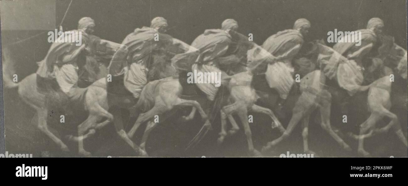 Arab Horse Gallup 1887 di Etienne-Jules Marey Foto Stock