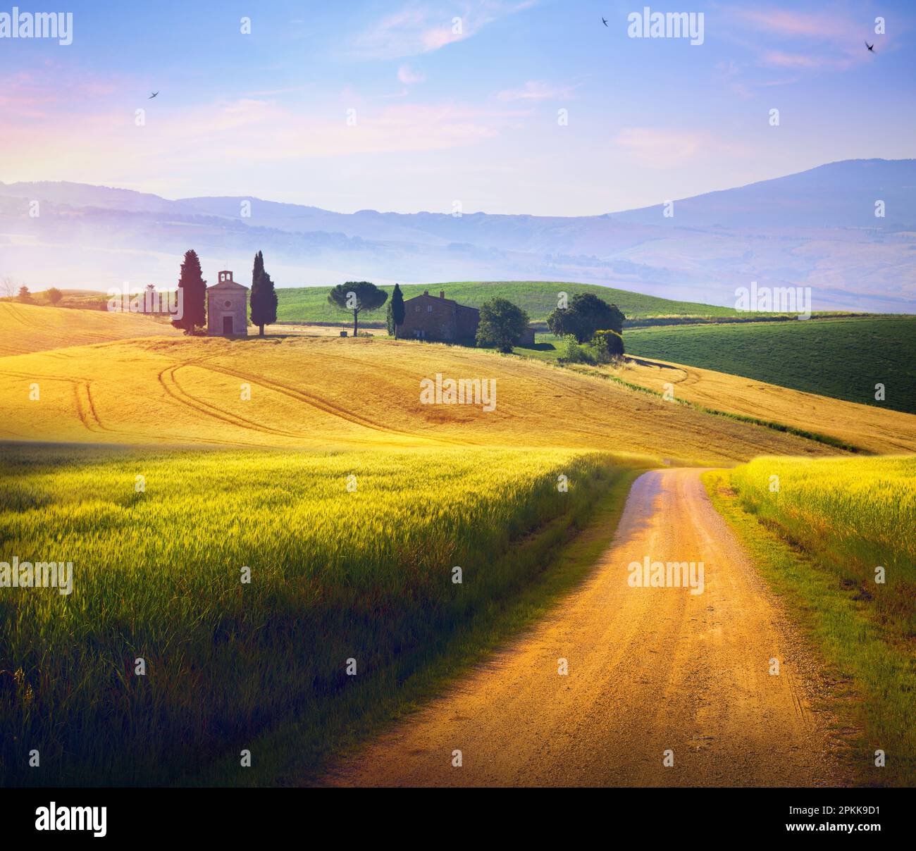 Bellissimo paesaggio rurale estivo italiano; campagna Panorama di campo verde estivo con strada sterrata e cielo nuvoloso tramonto. Foto Stock