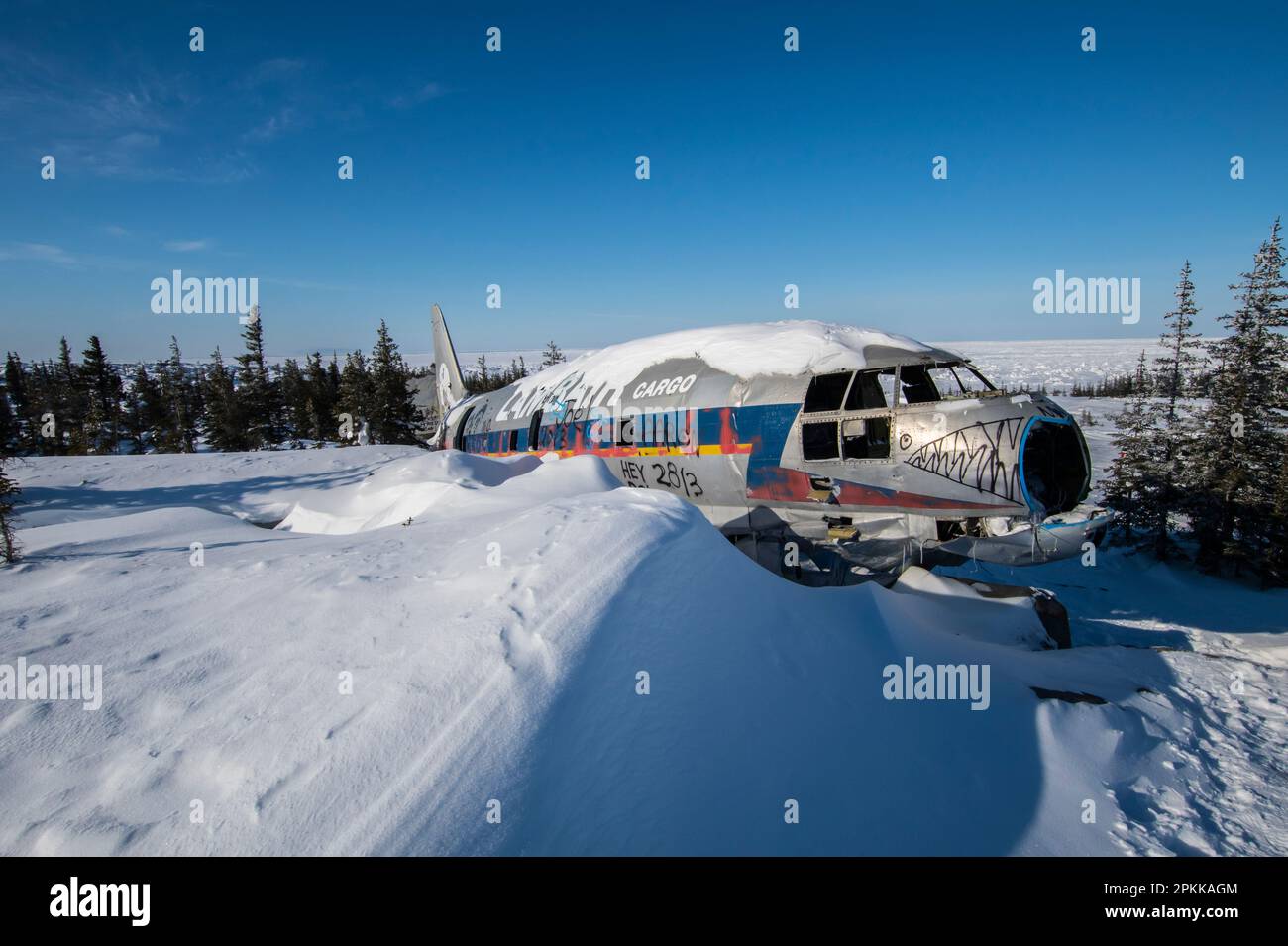 La signorina Piggy Curtiss C-46 Commando ha schiantato aerei a Churchill, Manitoba, Canada Foto Stock