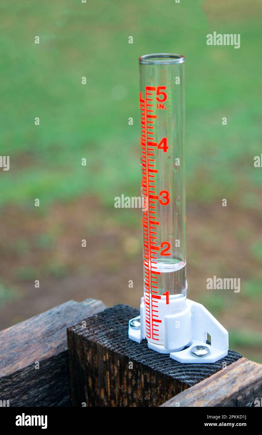 Un pollice e mezzo di pioggia è stato un sollievo gradito dopo una lunga corrente calda in Missouri. Bokeh. Foto Stock