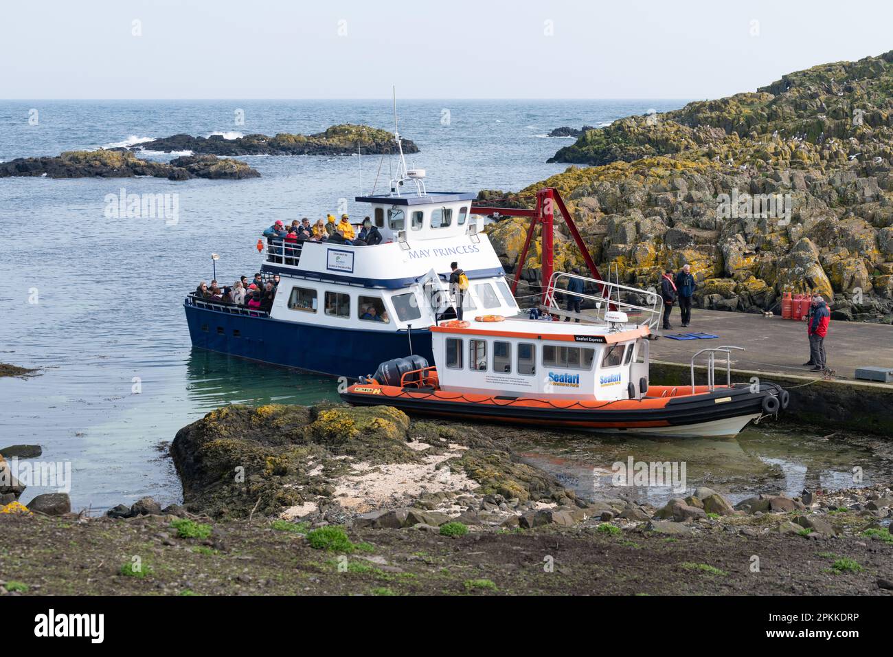 Isola di maggio gite in barca - maggio Princess e SEAFARI Adventures Forth barche ormeggiate sull'isola - Isola di maggio, Anstruther, Fife, Scozia, Regno Unito Foto Stock