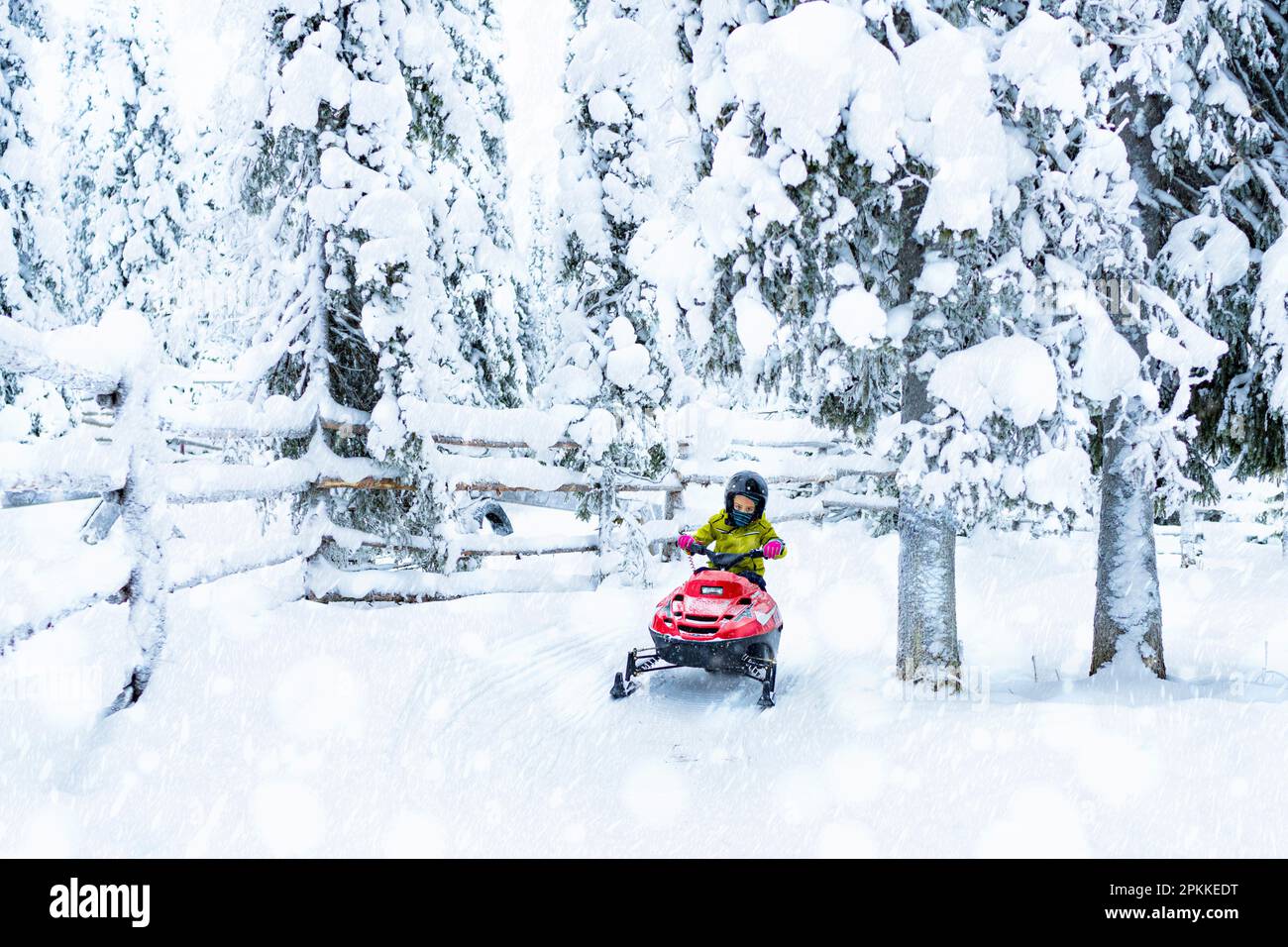 Ragazzo felice che guida una motoslitta nella foresta artica, in Lapponia, in Finlandia, in Europa Foto Stock