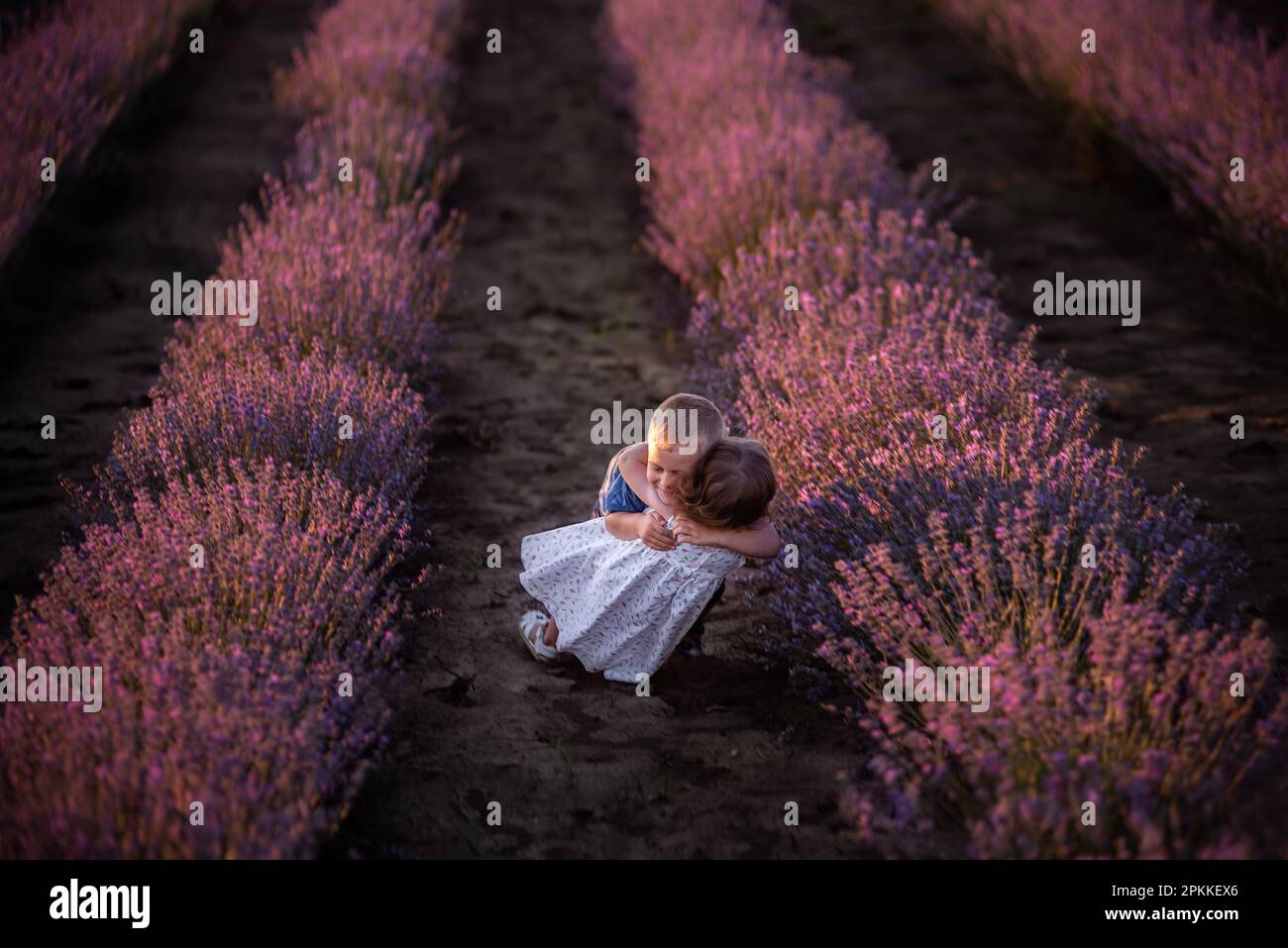 Bambini piccoli ragazzo ragazza carino abbracciato, cadere a terra nelle file di campo di lavanda viola. Coppia carina amorevole dei bambini hanno divertimento nella natura. Fa Foto Stock