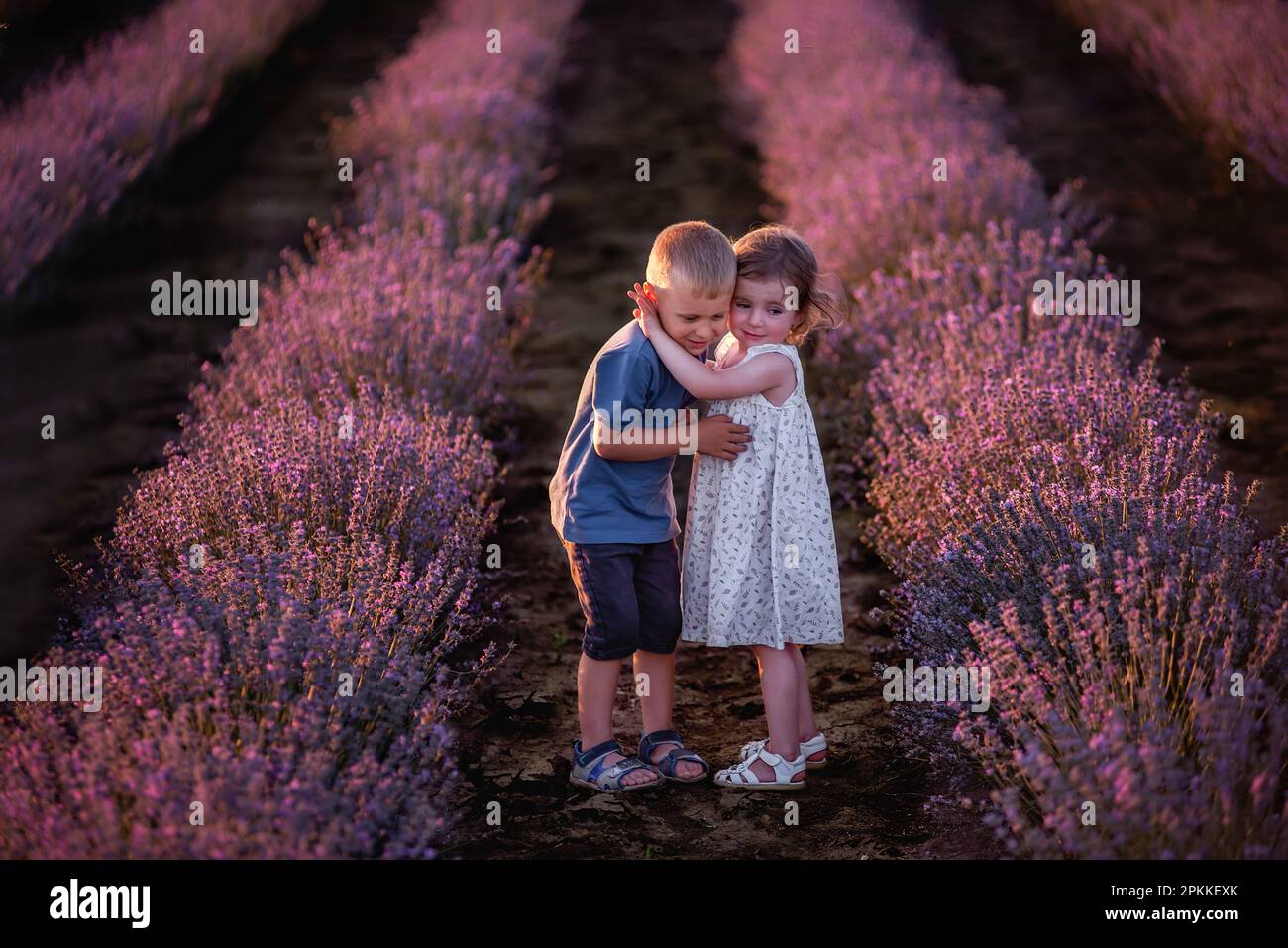 Ragazzina ragazzina carina che abbraccia file di lavanda viola. Amare coppia di bambini carini divertirsi in natura. Giornata di famiglia, spensierato, cheerful chi Foto Stock