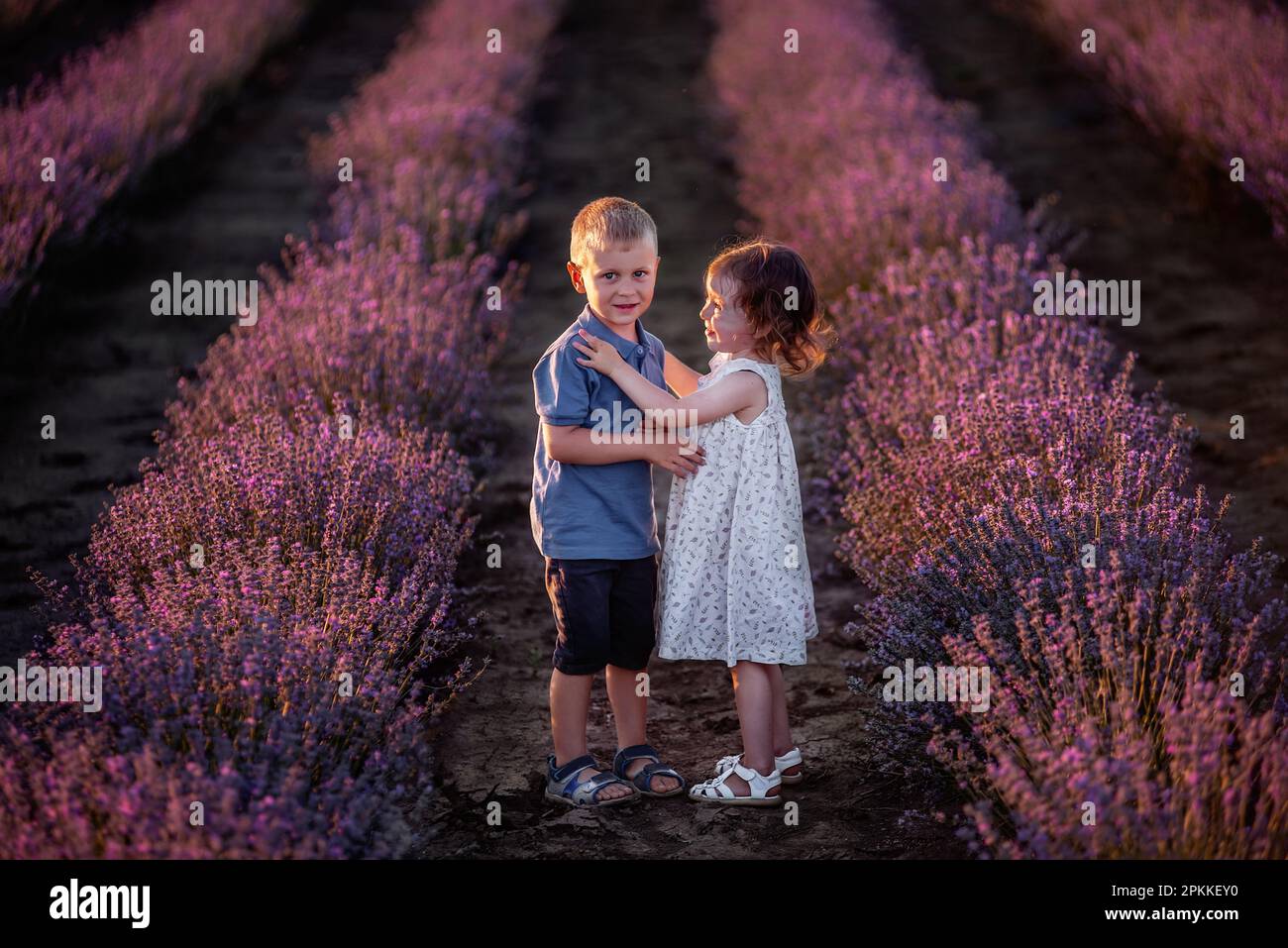 Ragazzina ragazzina carina che abbraccia file di lavanda viola. Amare coppia di bambini carini divertirsi in natura. Giornata di famiglia, spensierato, cheerful chi Foto Stock