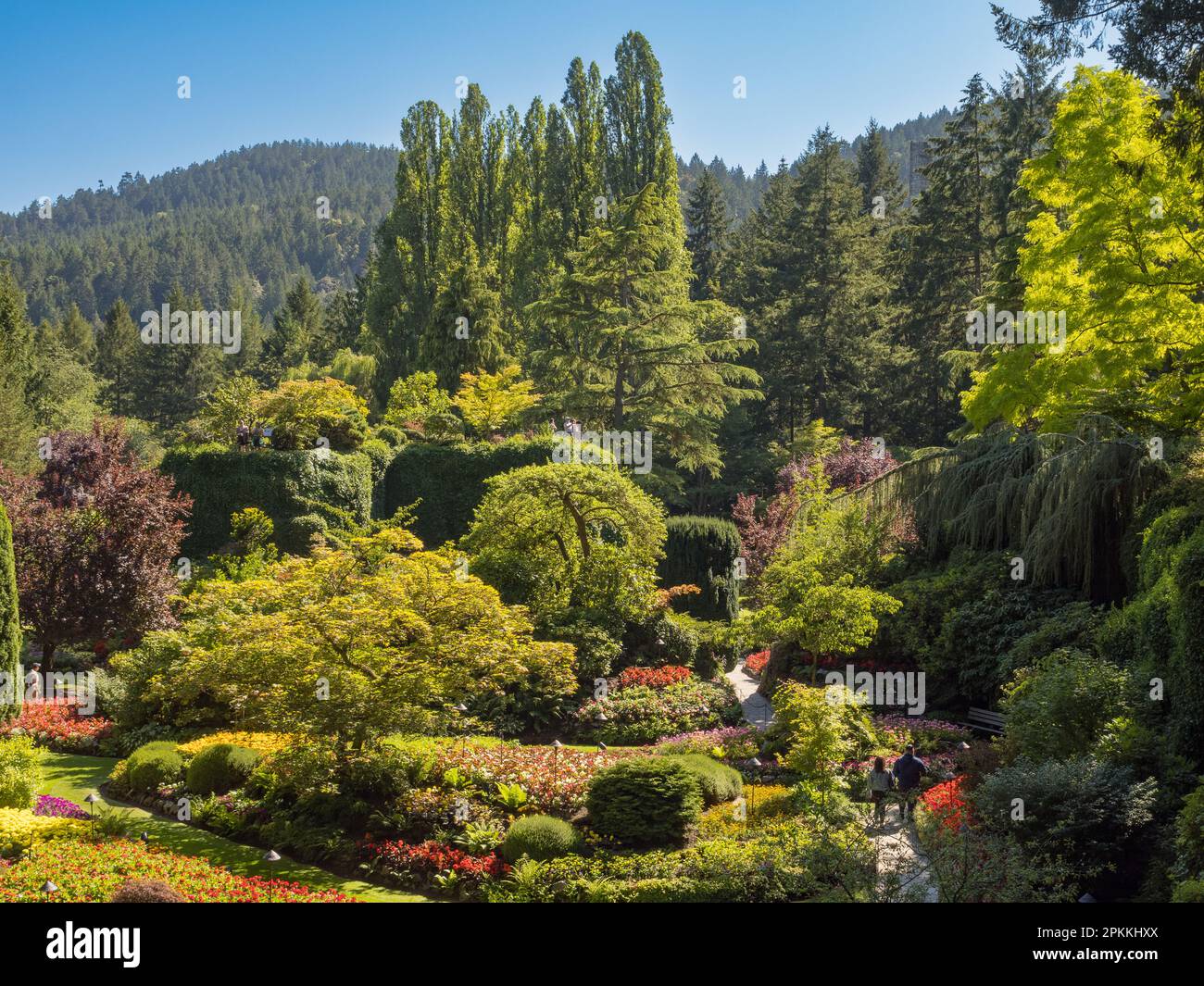 Butchart Gardens, Victoria, Vancouver Island, British Columbia, Canada, Nord America Foto Stock