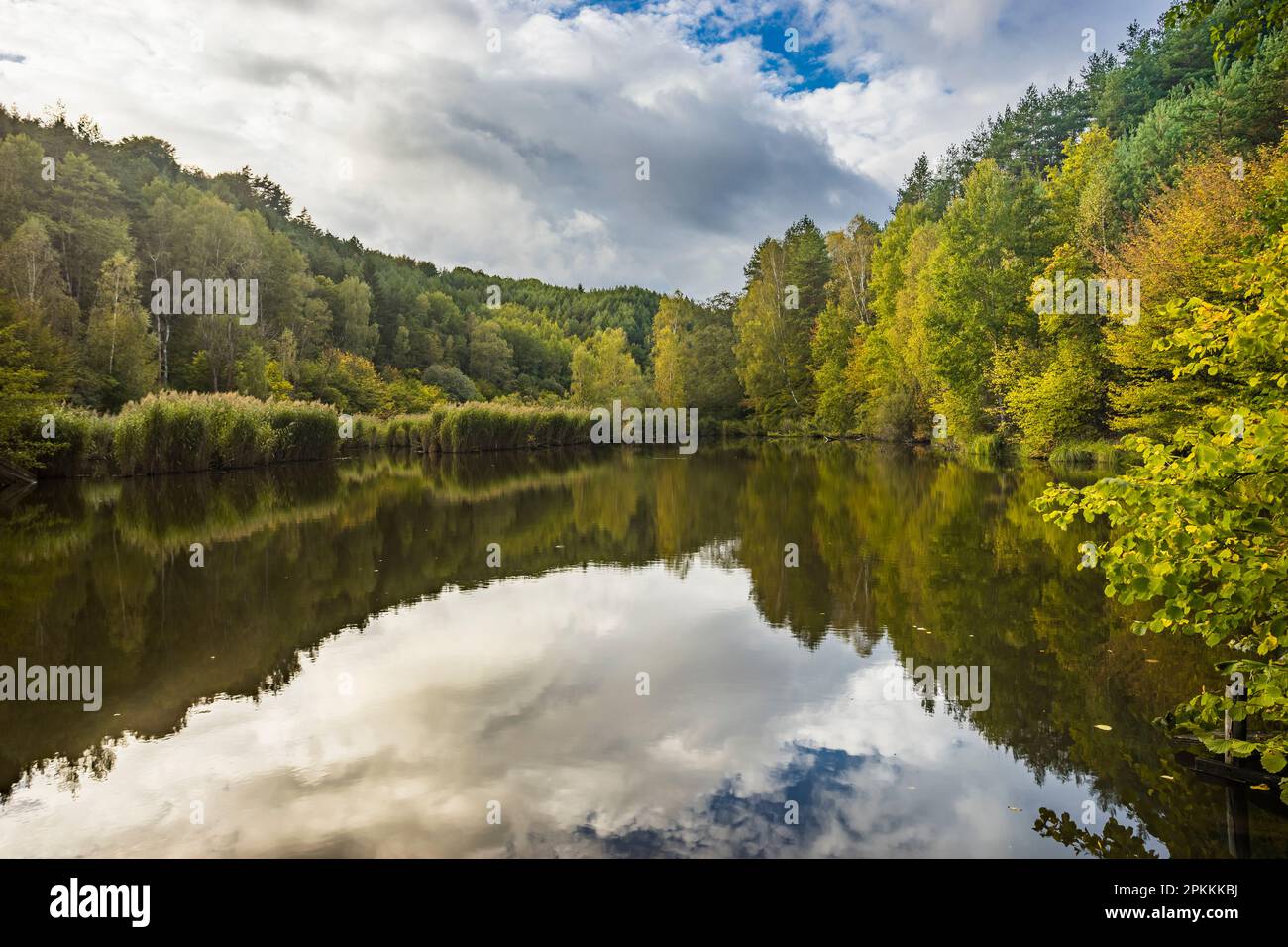 Foto idilliaca dello stagno di Kacirek durante l'autunno, Kokorinsko, Boemia centrale, Repubblica Ceca (Czechia), Europa Foto Stock