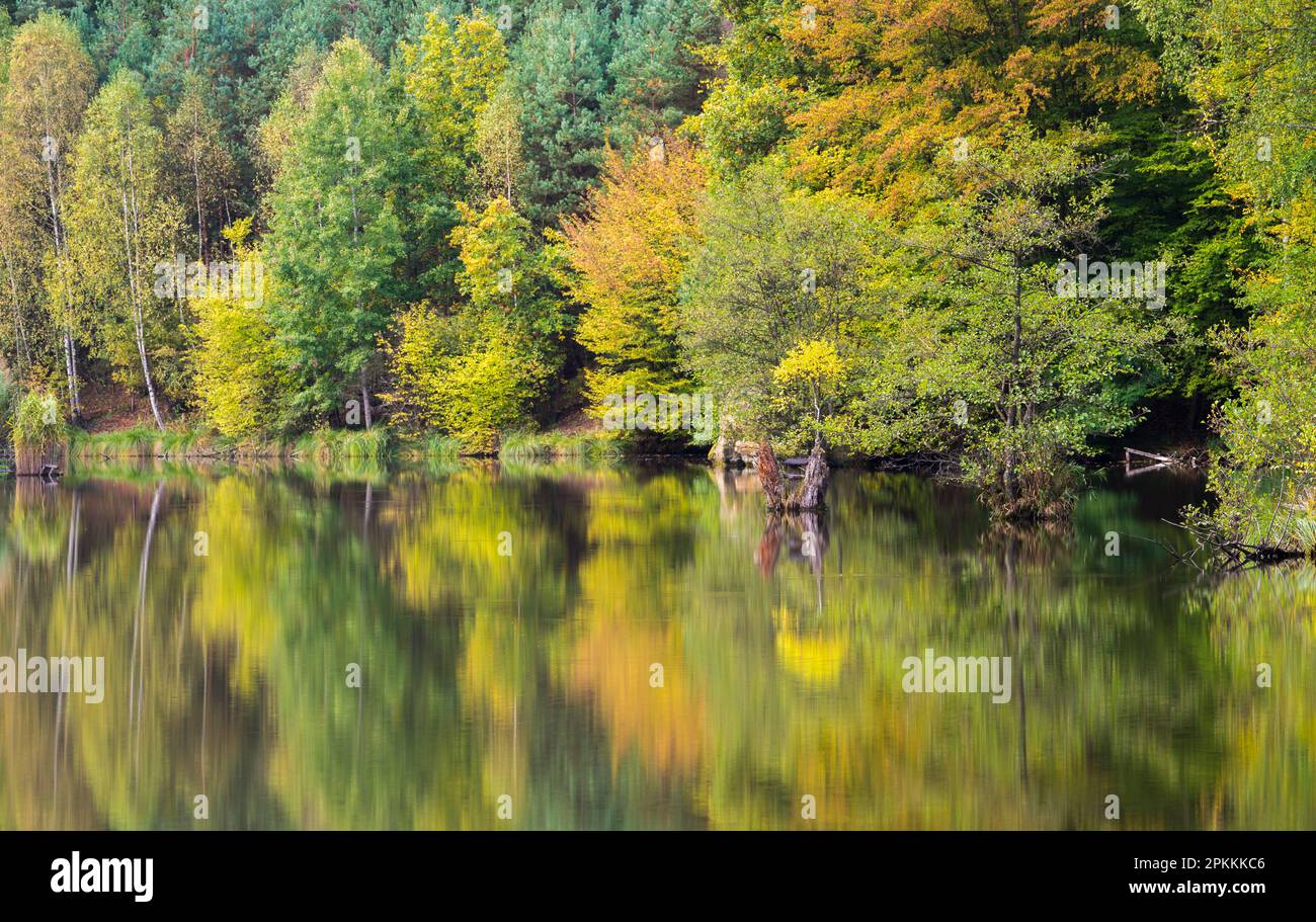 Foto idilliaca dello stagno di Kacirek durante l'autunno, Kokorinsko, Boemia centrale, Repubblica Ceca (Czechia), Europa Foto Stock