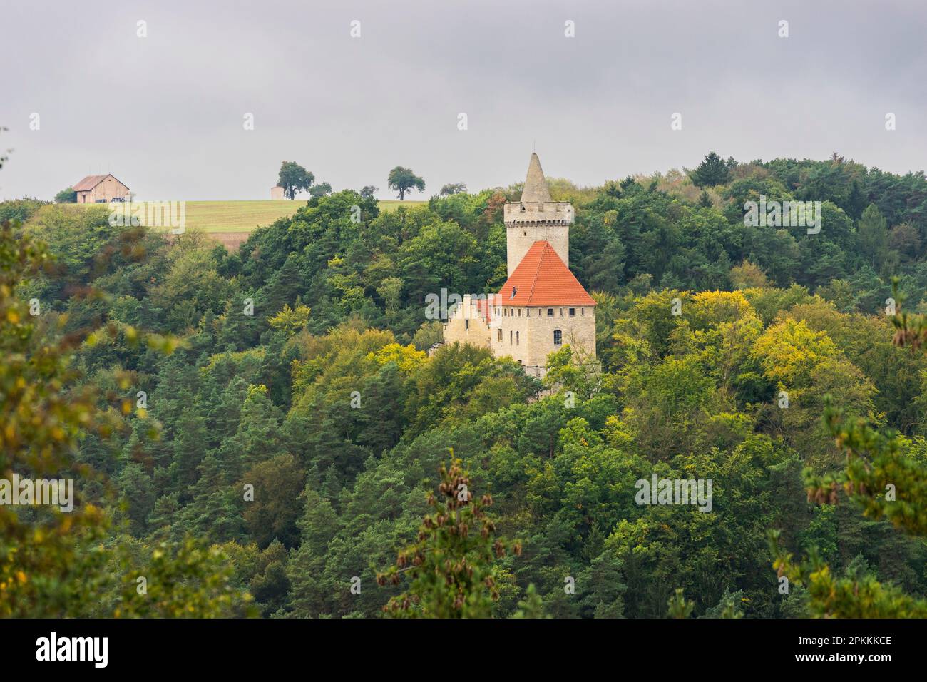 Castello di Kokorin, Area paesaggistica protetta di Kokorinsko, Boemia centrale, Repubblica Ceca (Czechia), Europa Foto Stock