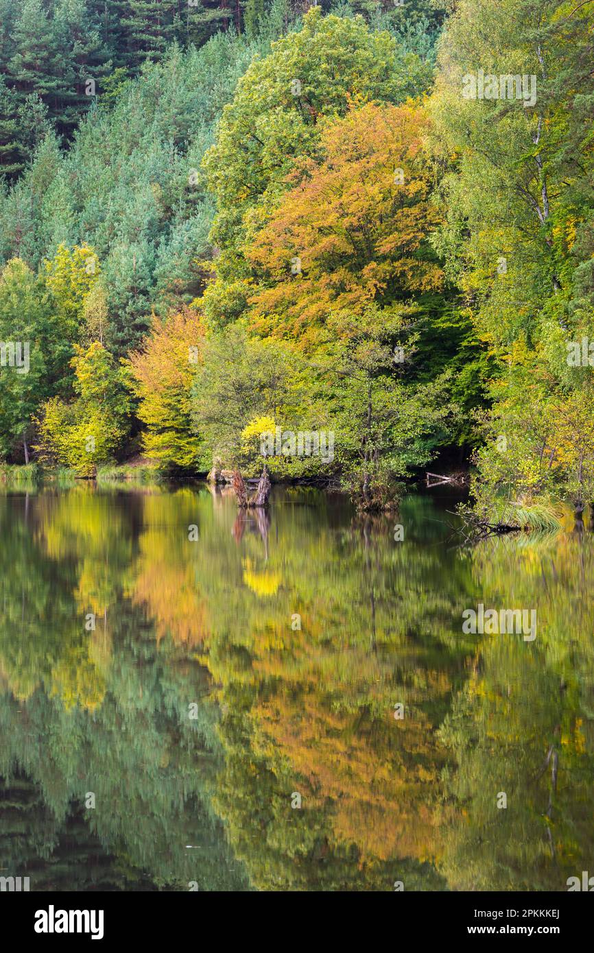 Foto idilliaca dello stagno di Kacirek durante l'autunno, Kokorinsko, Boemia centrale, Repubblica Ceca (Czechia), Europa Foto Stock
