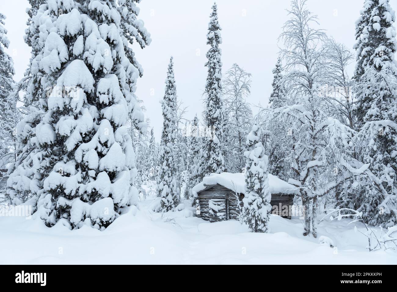 Rifugio congelato nella foresta artica coperta di neve, Akaslompolo, Kolari, Parco Nazionale Pallas-Yllastunturi, Lapponia, Finlandia, Europa Foto Stock