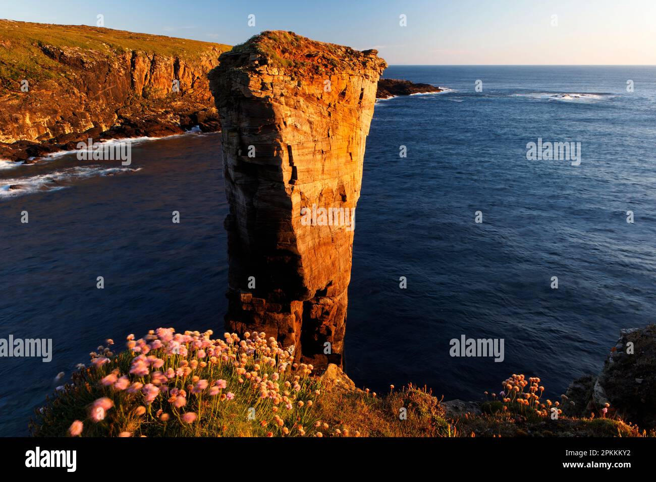Yesnaby Sea Stack, West Mainland, Isole Orcadi, Scozia, Regno Unito, Europa Foto Stock