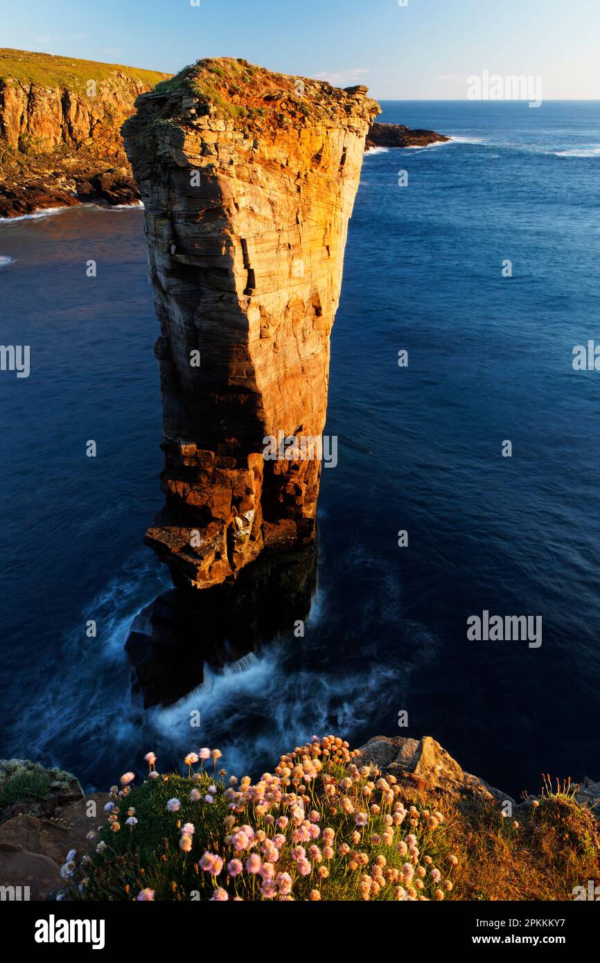 Yesnaby Sea Stack, West Mainland, Isole Orcadi, Scozia, Regno Unito, Europa Foto Stock
