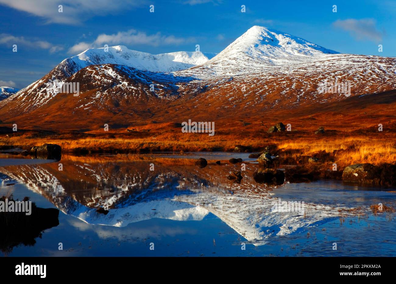 Reflections, Rannoch Moor, Highland Region, Scotland, Regno Unito, Europa Foto Stock