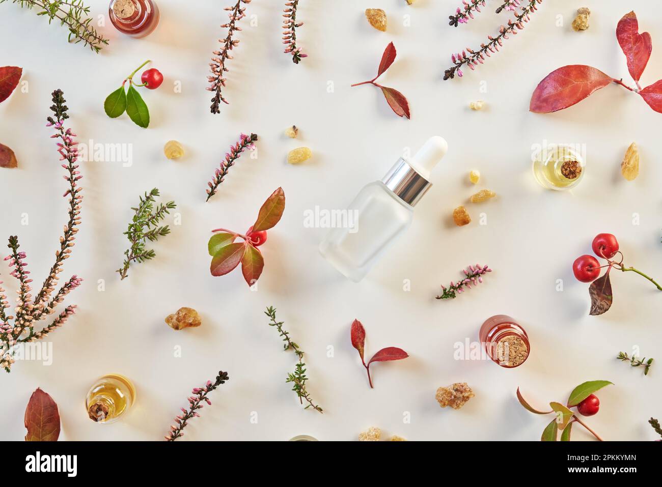 Fondo bianco con bottiglie di olio essenziale aromaterapico con incenso, wintergreen e altre erbe Foto Stock