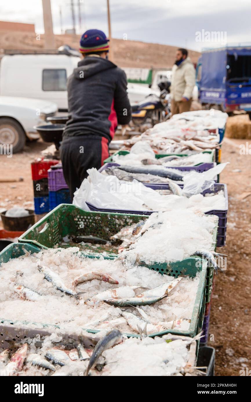 Una fila di casse con pesce fresco in vendita in un mercato berbero in Marocco Foto Stock