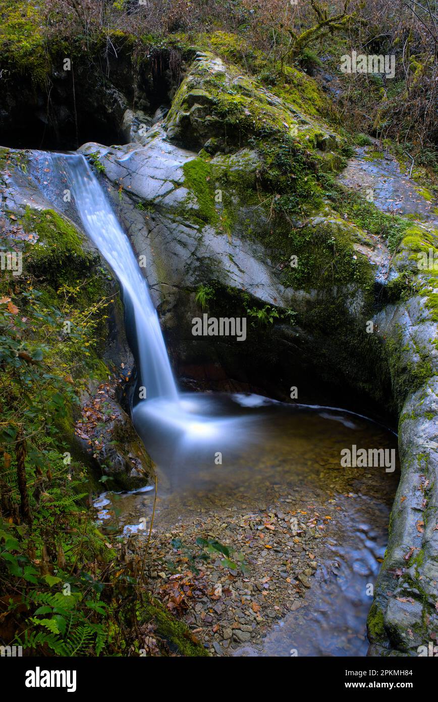 Cascata naturale nella foresta, atmosfera magica Foto Stock