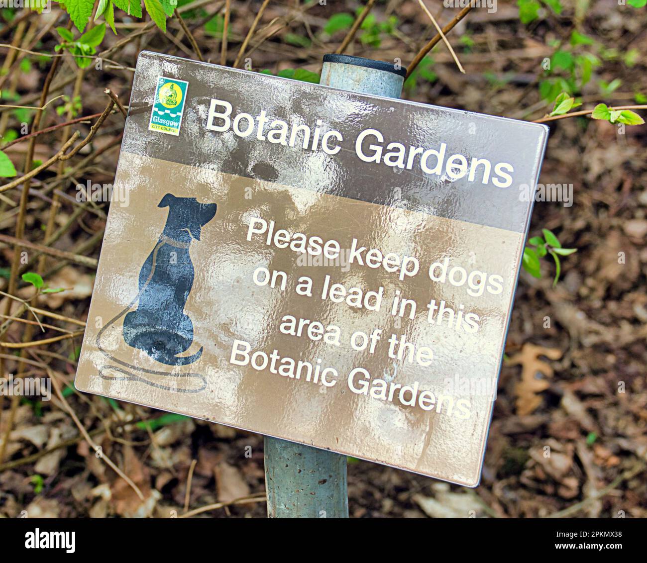 i giardini botanici tengono il cane su un cartello con il guinzaglio Foto Stock