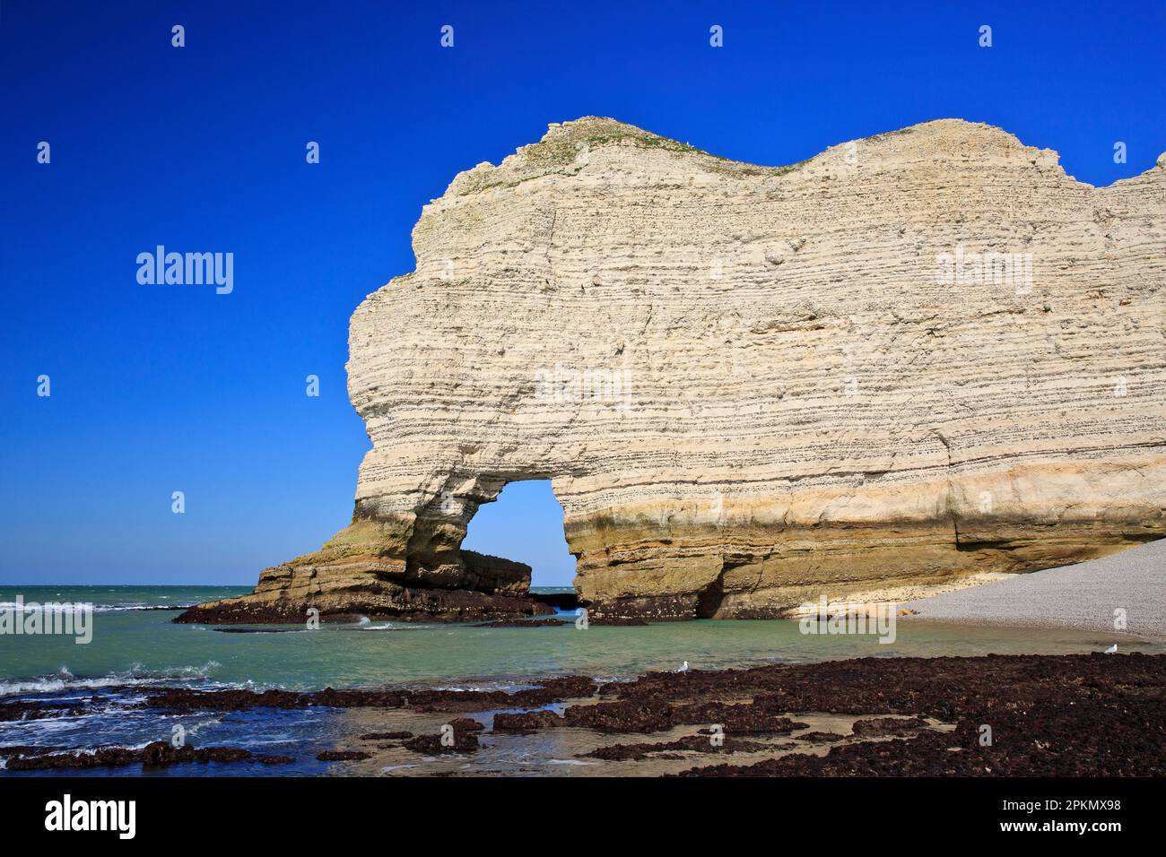 La Porte d'Amont (Falaise d'Amont) a Etretat (Senna Marittima), Normandia, Francia Foto Stock