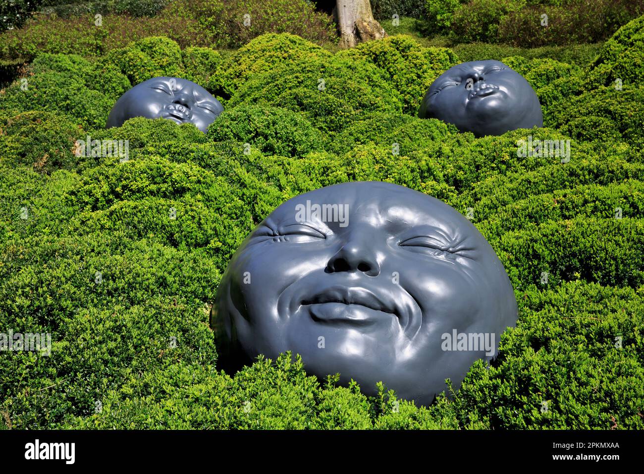 Gocce di pioggia (grandi volti raffiguranti diverse emozioni umane) dell'artista spagnolo Samuel Salcedo presso i Giardini Etretat (Senna Marittima), Francia Foto Stock