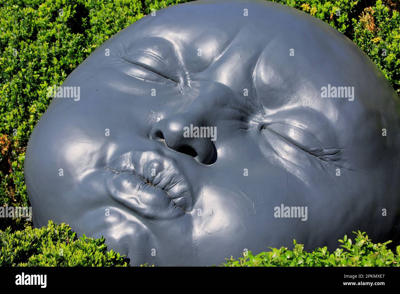 Gocce di pioggia (grandi volti raffiguranti diverse emozioni umane) dell'artista spagnolo Samuel Salcedo presso i Giardini Etretat (Senna Marittima), Francia Foto Stock