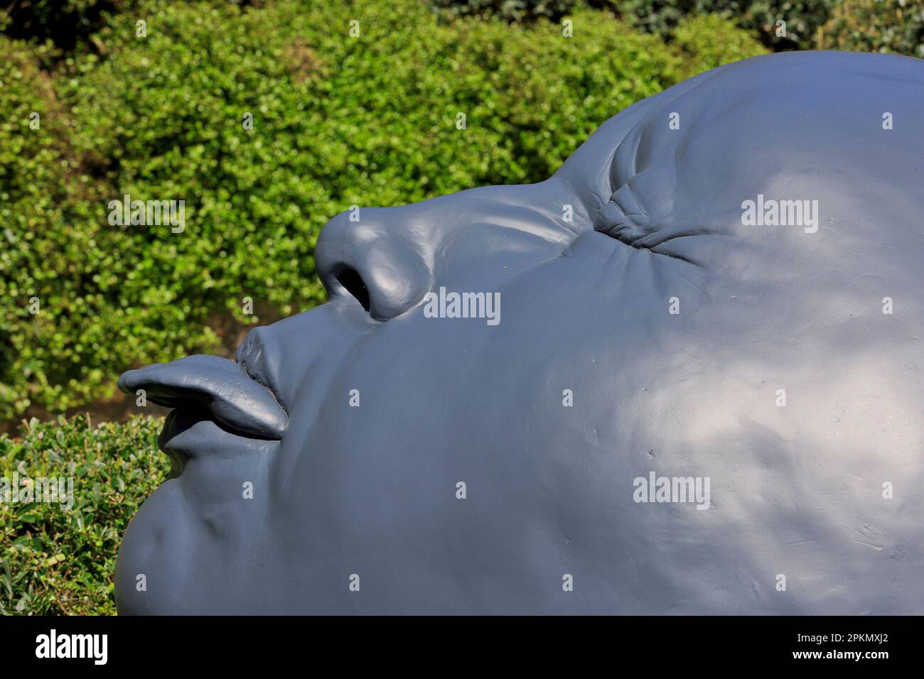 Gocce di pioggia (grandi volti raffiguranti diverse emozioni umane) dell'artista spagnolo Samuel Salcedo presso i Giardini Etretat (Senna Marittima), Francia Foto Stock