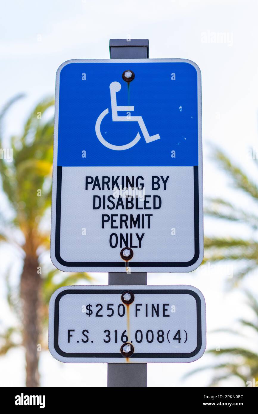 Un primo piano del cartello: "Parcheggio solo per disabili" con una multa. I palmi sfocati sono sullo sfondo. Preso in Florida, Stati Uniti. Foto Stock