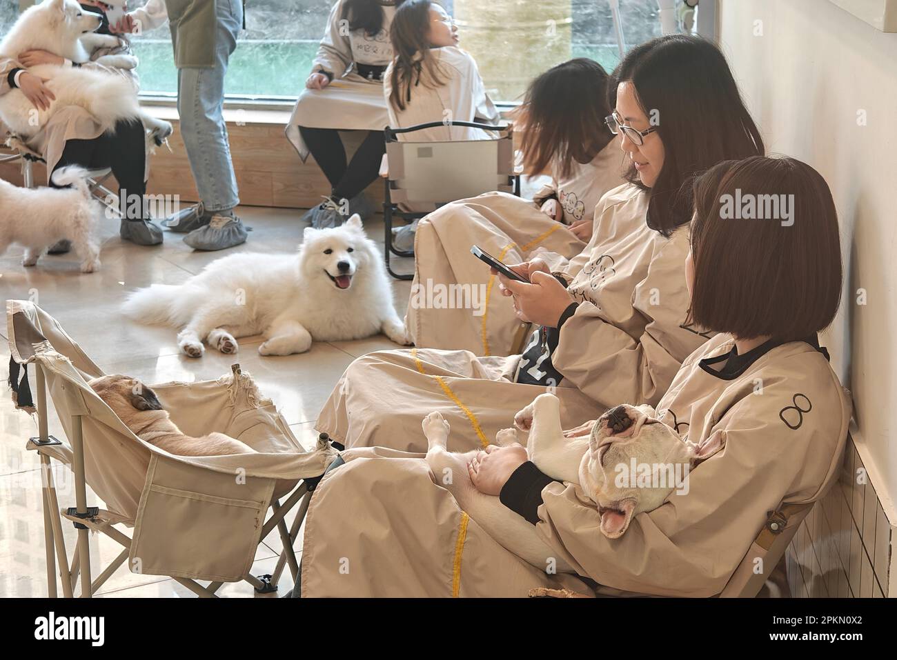 SHANGHAI, CINA - 8 APRILE 2023 - i clienti giocano con i cani in un negozio di cani da cuccia a Shanghai, Cina, 8 aprile 2023. Questo animale domestico di vita di 'cane da cucciolo' Foto Stock