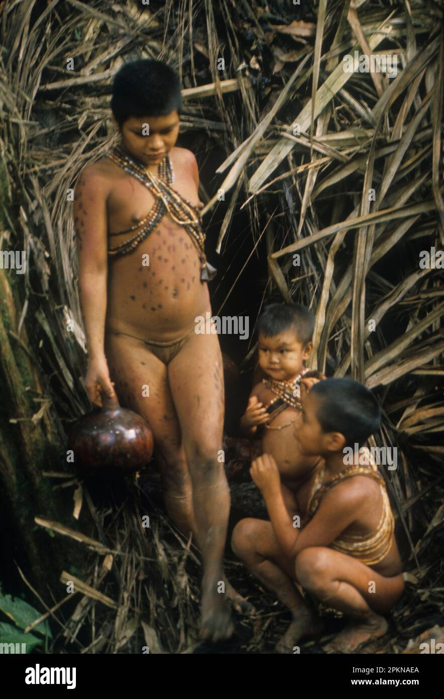 Ragazza del gruppo etnico Hoti che va a prendere l'acqua in un torrente della foresta pluviale, Venezuela, Sud America. Foto Stock